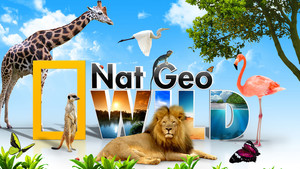 Zender van de Maand bij UPC Nat Geo Wild