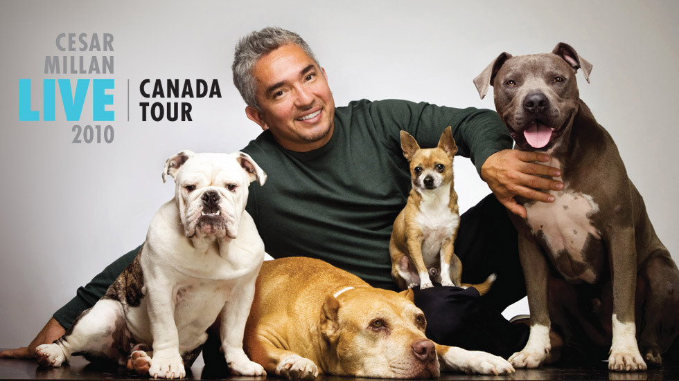 Cesar Millan Live 2010