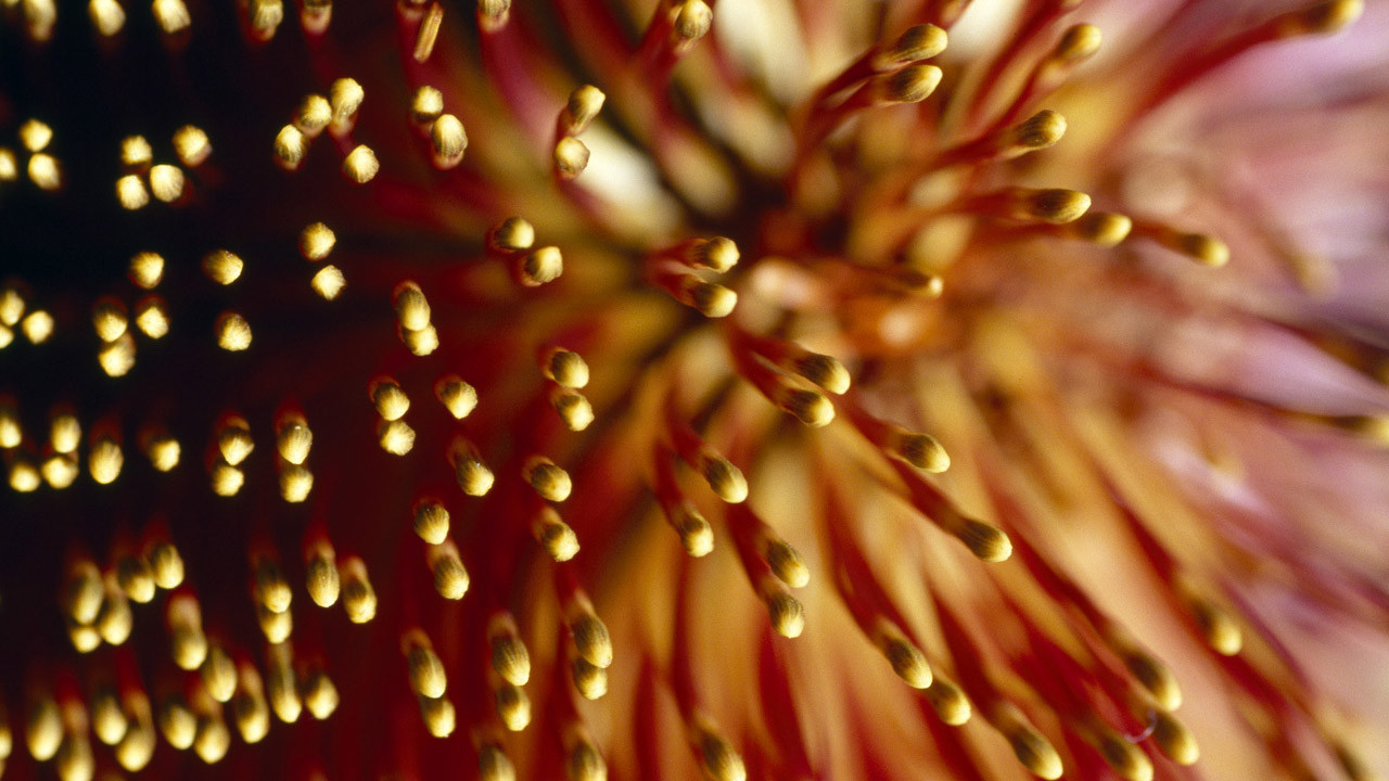 http://media.natgeotv.com/Footer/8.Background.jpg