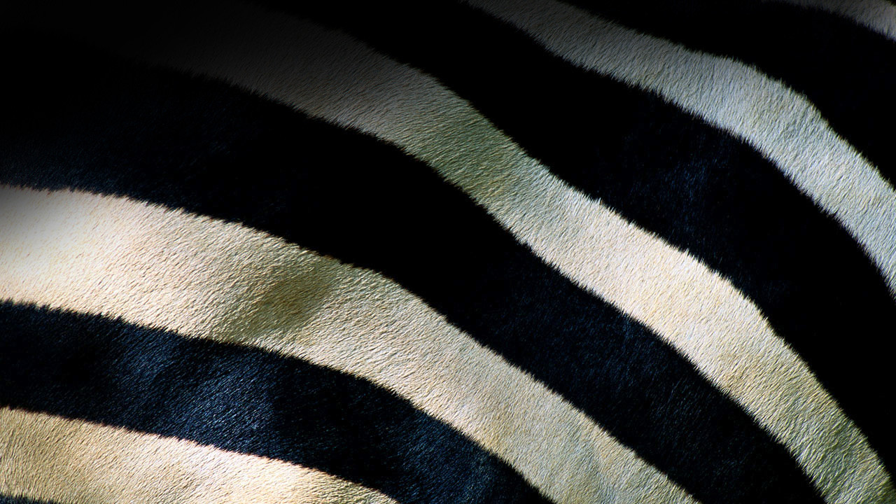 http://media.natgeotv.com/Footer2/13.Background.jpg