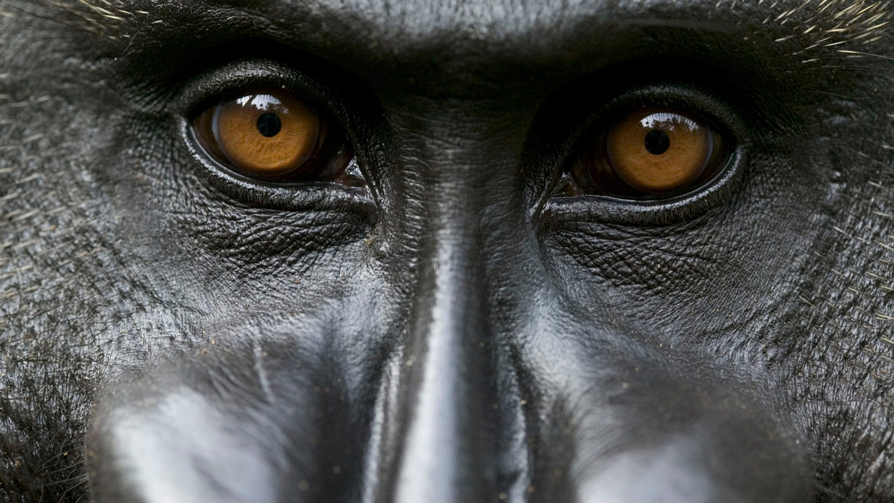 http://media.natgeotv.com/Footer2/93.Background.jpg
