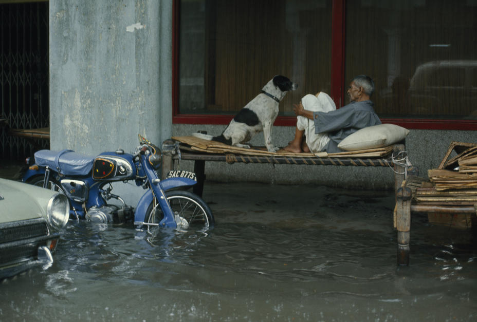 A night watchman and dog sit on a make-shift bed on a flooded street. [Photo of the day - FEBRUARY 10, 2011]