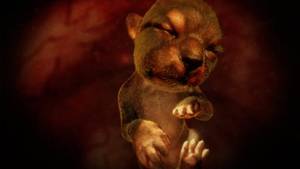 DAS WUNDER DES LEBENS: DREI HUNDEBABYS UND EIN WOLF