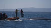Blue Whale Odyssey