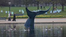 Blue Whale Stunt photo