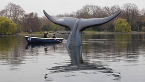 BLUE WHALE STUNT