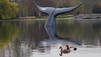 Blue Whale Stunt
