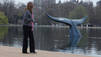 Blue Whale Stunt