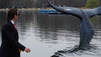 Blue Whale Stunt