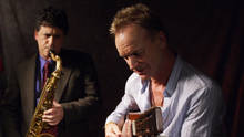 Sting Foto