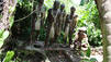 Tanna, Vanuatu