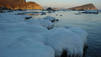 Arctic