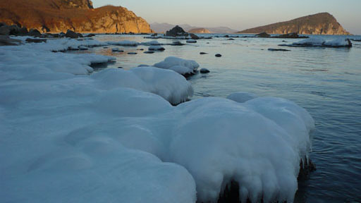 Arctic
