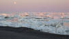 Arctic
