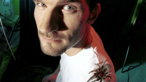 Horror-Insekten