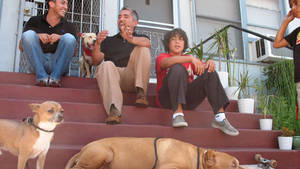 HARLEY, MAD DOGS UND MILES MAXWELL
