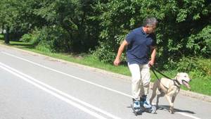 ATF K-9 GAVIN