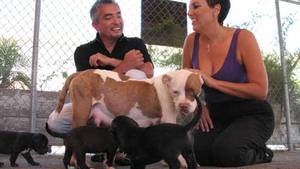 CODY, CHLOE UND BUFFY