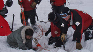Le maître du désastre photo