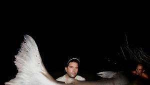Monster Fish: Pesci Giganti foto