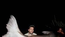 Monster Fish: Pesci Giganti foto
