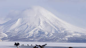 KAMCHATKA