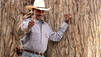 Cowboys