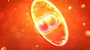 Unser Universum: Die 3. Staffel
