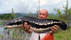 Fishzilla – Die Invasion des Schlangenkopffisches