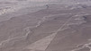 Nasca Lines