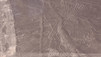 Nasca Lines