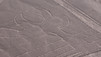 Nasca Lines