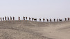 Nasca Lines