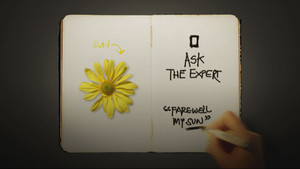 ASK THE EXPERTS