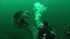Massive Cephalopods