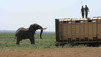 Africa: paradiso perduto