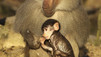 Africa: paradiso perduto