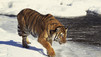 World's Deadliest Animals