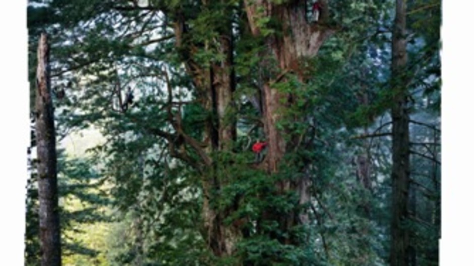 National Geographic - As Dez Melhores Fotos