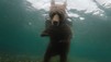 National Geographic - As Dez Melhores Fotos