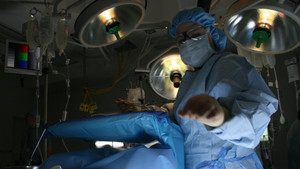 Emergency Transplant photo