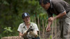 Great Apes With Michelle Yeoh