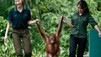 Great Apes With Michelle Yeoh
