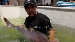 MONSTER FISH