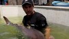 Monster Fish