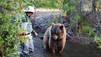 Expedition Kodiak