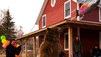 Grizzly Encounters