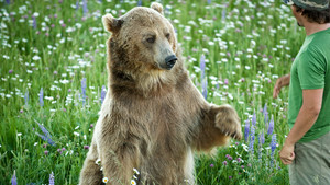 EXPEDITION GRIZZLY