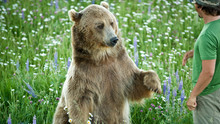Expedition Grizzly photo