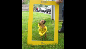 "NGC KÖPEĞİNİZLE BERABER FOTOĞRAFINIZI ÇEKİYOR VOL.2" ETKİNLİĞİ FOTOĞRAFLARI BEBEK PARKI